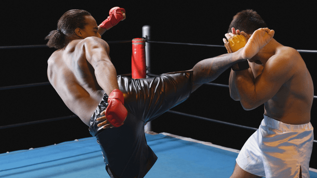 UFC Fight Night: Strickland vs. Hernandez, A Thrilling Night of MMA Action in Houston