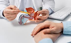 Prostate