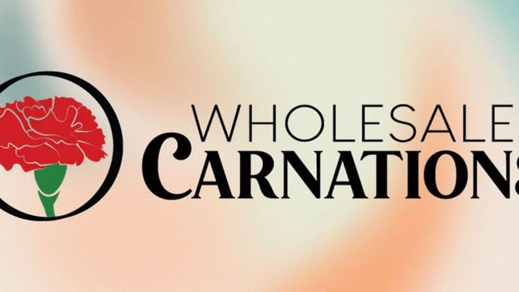 Wholesale Carnations logo featuring a red carnation flower icon and bold typography, representing a flower wholesaler business.