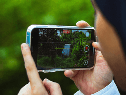 Person holding a smartphone, recording a video of a green outdoor scene