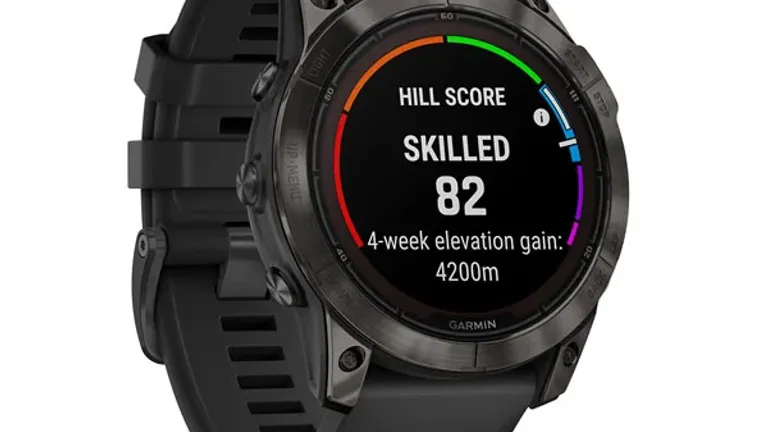 Garmin