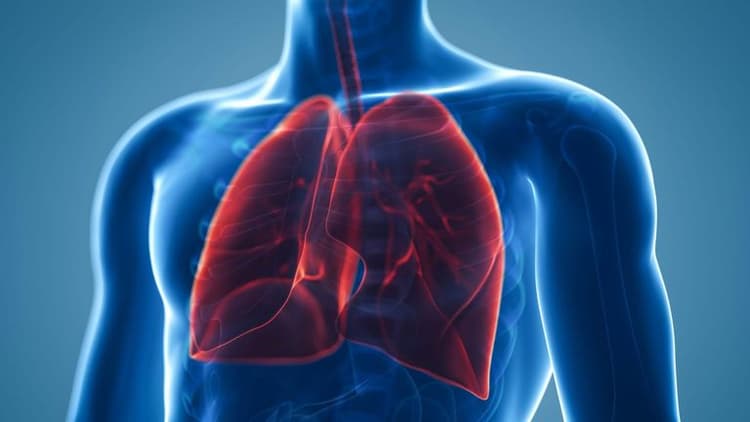 Respiratory Virus Activity Remains Elevated Across the U.S. as January Nears Its End