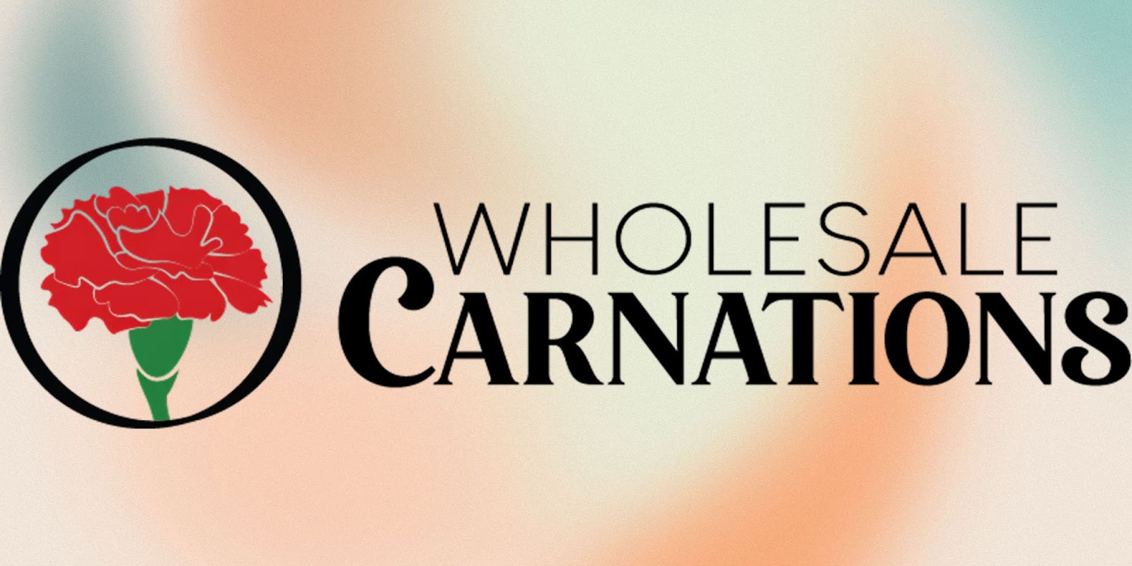 Wholesale Carnations logo featuring a red carnation flower icon and bold typography, representing a flower wholesaler business.